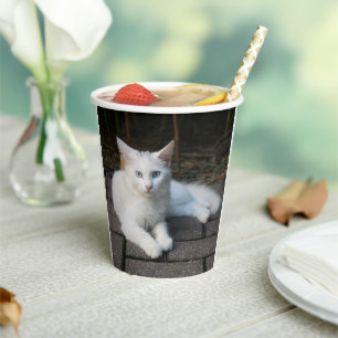 Vasos De Papel Gato blanco