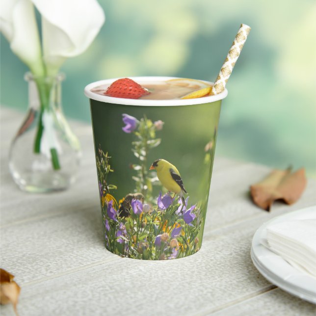 Vasos De Papel Goldfinch en una flor harebell (in situ)