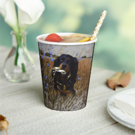 Vasos De Papel Gordon Setter 
