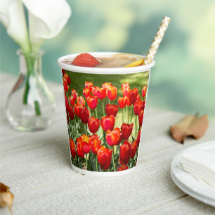 Vasos De Papel Gran campo de tulipanes rojos
