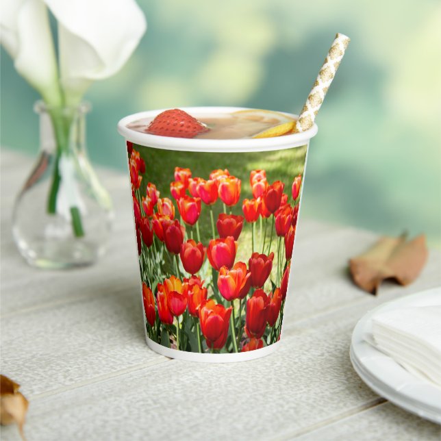 Vasos De Papel Gran campo de tulipanes rojos (in situ)