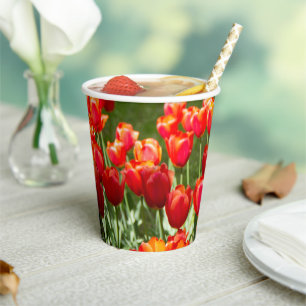 Vasos De Papel Gran campo de tulipanes rojos