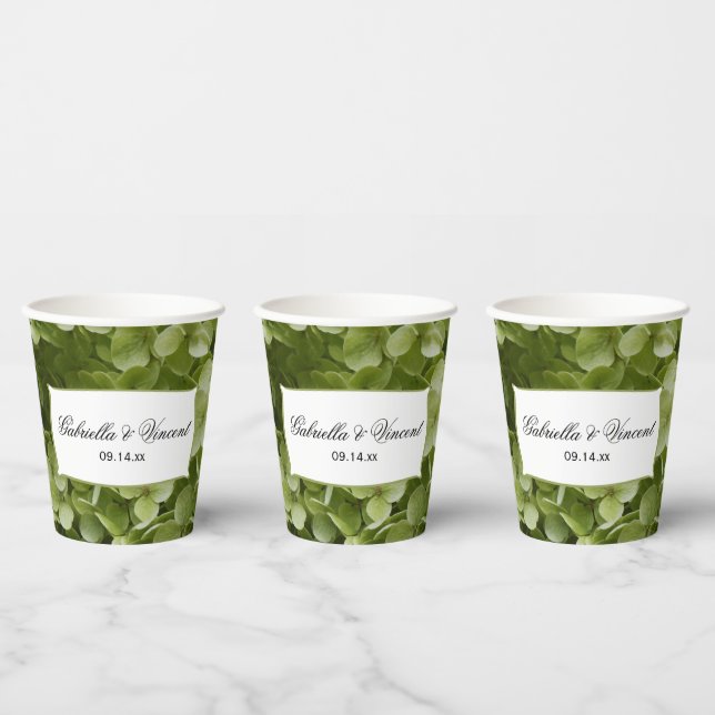 Vasos De Papel Green Annabelle Hydrangeas Boda Cubos de papel (Multi)