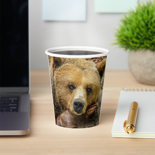 Vasos De Papel Grizzly Bear (in situ)