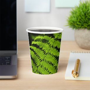 Vasos De Papel helecho verde