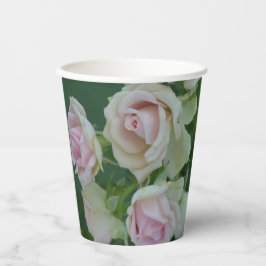 Vasos De Papel Hermosos rosas de jardín rosa claro