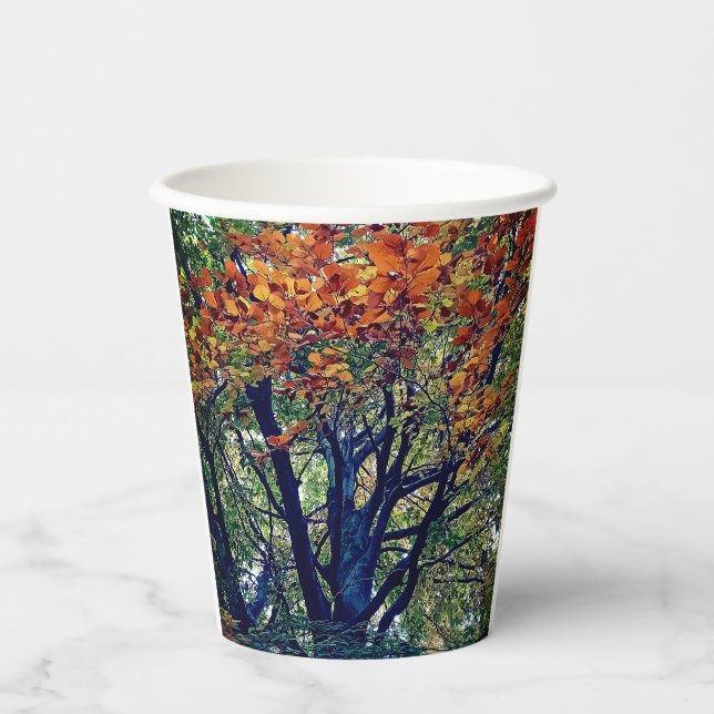 Vasos De Papel hojas naranjas (Anverso)