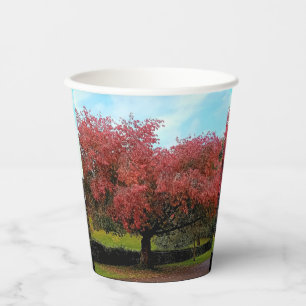 Vasos De Papel Hojas rojas