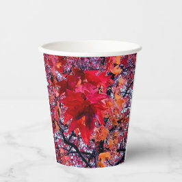 Vasos De Papel Hojas rojas brillantes