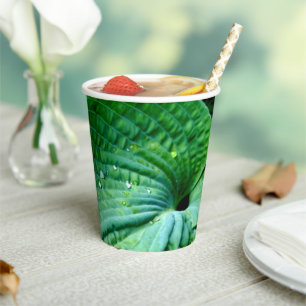 Vasos De Papel Hosta Heart
