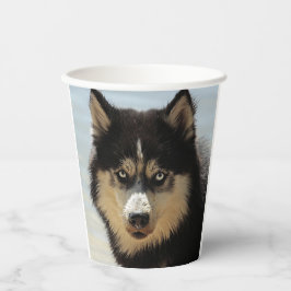 Vasos De Papel Husky