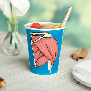 Vasos De Papel Ilustracion de órganos