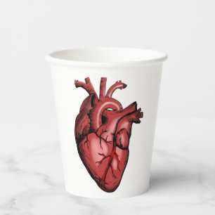 Vasos De Papel Imagen de corazón anatómico realista