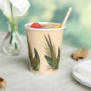 Vasos De Papel James Sowerby Ground Parrot, Psittacus terrestres