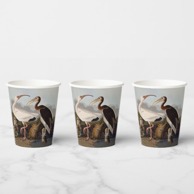 Vasos De Papel John James Audubon White Ibis Bird Print Classic (Multi)