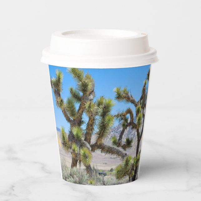 Vasos De Papel Joshua Tree en California (Anverso)