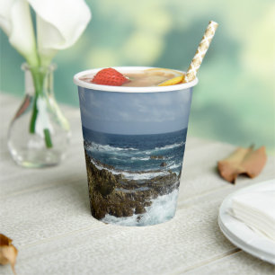 Vasos De Papel La costa rocosa de Aruba
