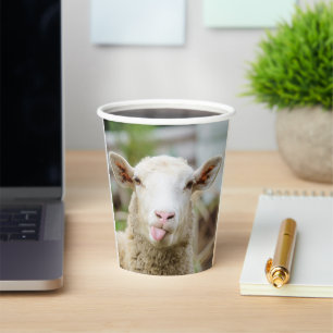 Vasos De Papel Lengua de presentación de las ovejas