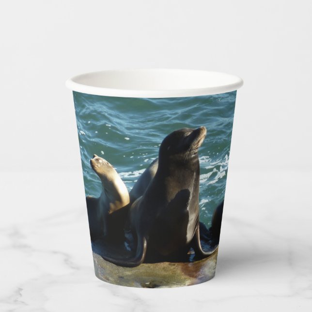 Vasos De Papel Leones marinos de San Diego (Anverso)