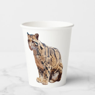 Vasos De Papel leopardo nublado fotografía selva gran gato animal