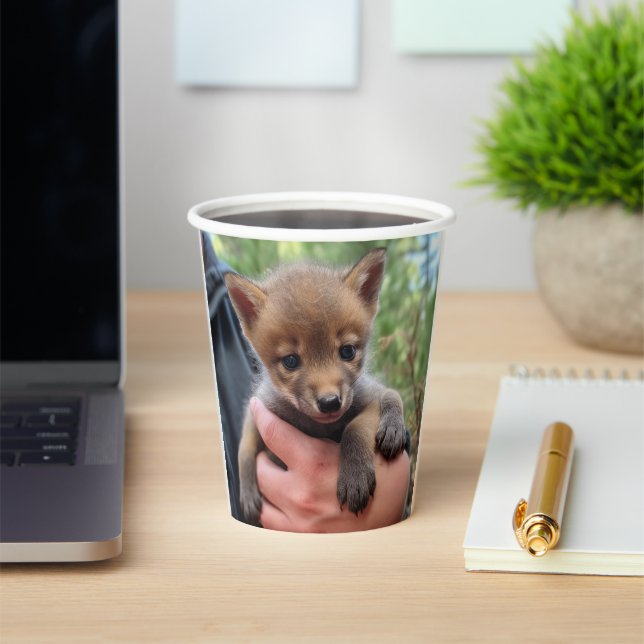 Vasos De Papel Little Coyote (in situ)