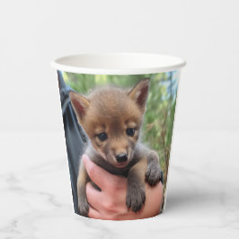 Vasos De Papel Little Coyote