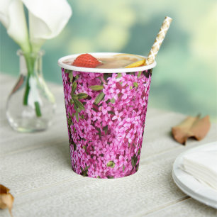 Vasos De Papel Little Pink Daphne Floral