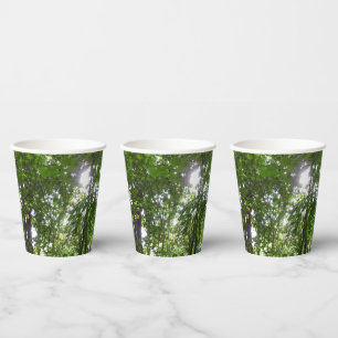 Vasos De Papel Luz solar a través de la selva tropical con cubier