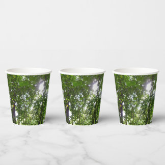 Vasos De Papel Luz solar a través de la selva tropical con cubier
