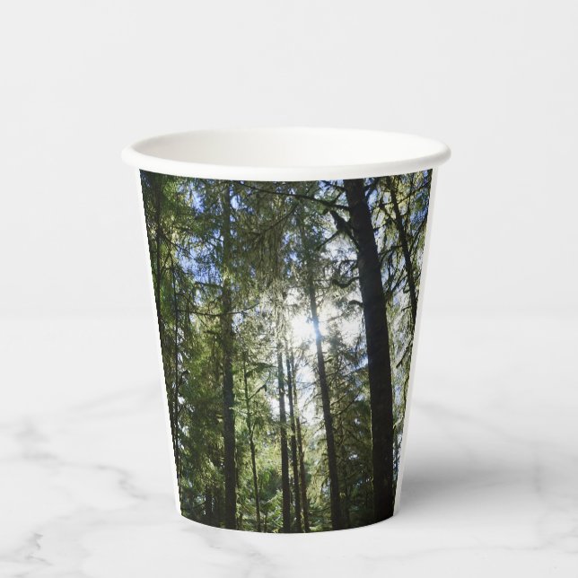Vasos De Papel Luz solar a través de pinos (Anverso)