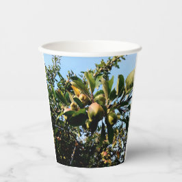 Vasos De Papel Manzanas