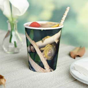 Vasos De Papel Marmoset Monkey Hola, Cuadros Fiestas de papel