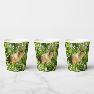 Vasos De Papel Marmot en Mont Rainier Wildflowers