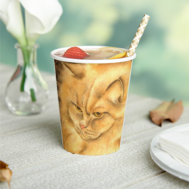 Vasos De Papel Mi ginger gato favorito (in situ)