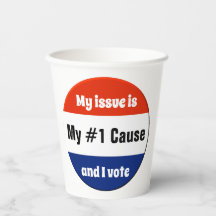 Mi voto en las elecciones