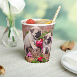 Vasos De Papel Nacimiento Dulce Bebé Pugs Fiesta Floral