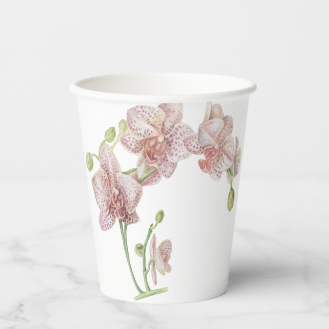 Vasos De Papel Orquídea dibujada a mano (Anverso)