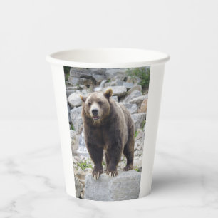 Vasos De Papel Oso Kodiak