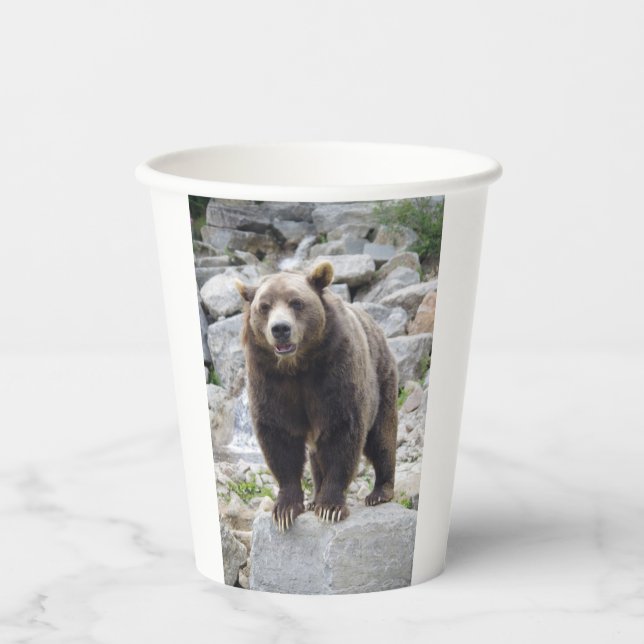 Vasos De Papel Oso Kodiak (Anverso)
