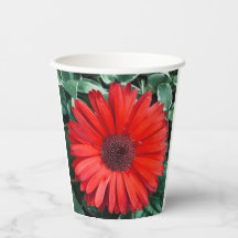 Vasos de papel para fiestas botánicas de margarita