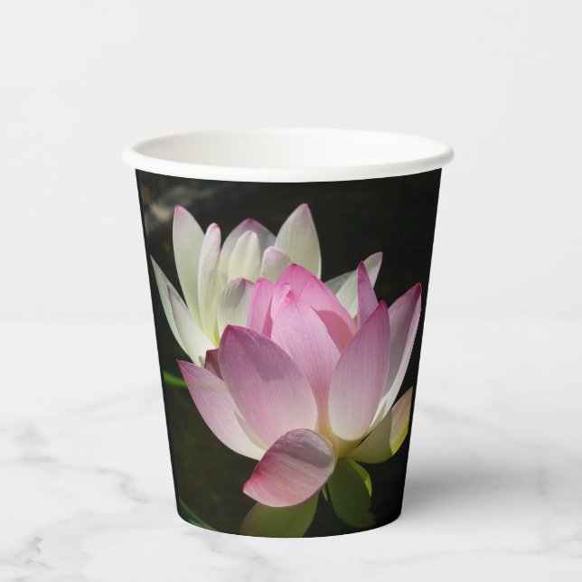 Vasos De Papel Pareja de flores de Lotus II (Anverso)