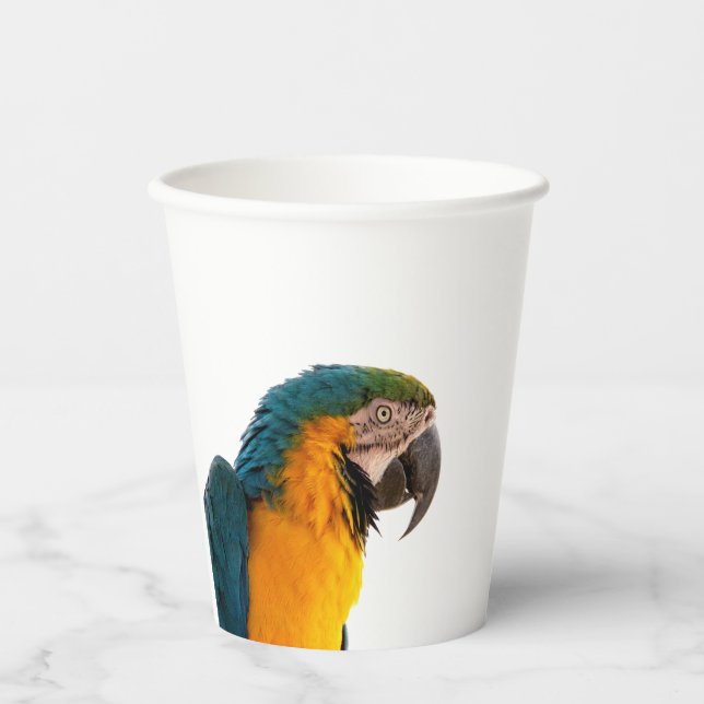 Vasos De Papel Parrot  (Anverso)