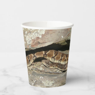 Vasos De Papel Pastelería en el Parque Nacional de Shenandoah