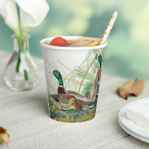 Vasos De Papel Pato Mallard de Aves de América (Audubon) 