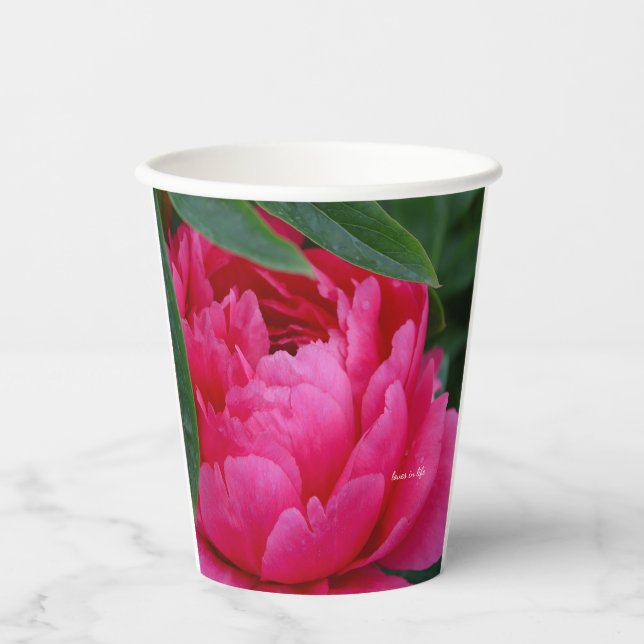 Vasos De Papel Peony rosado de Bashful (Anverso)
