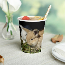 Pequeños conejitos esponjosos