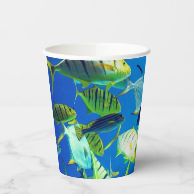 Vasos De Papel Pez marino de amarillo con rayas negras (Izquierda)