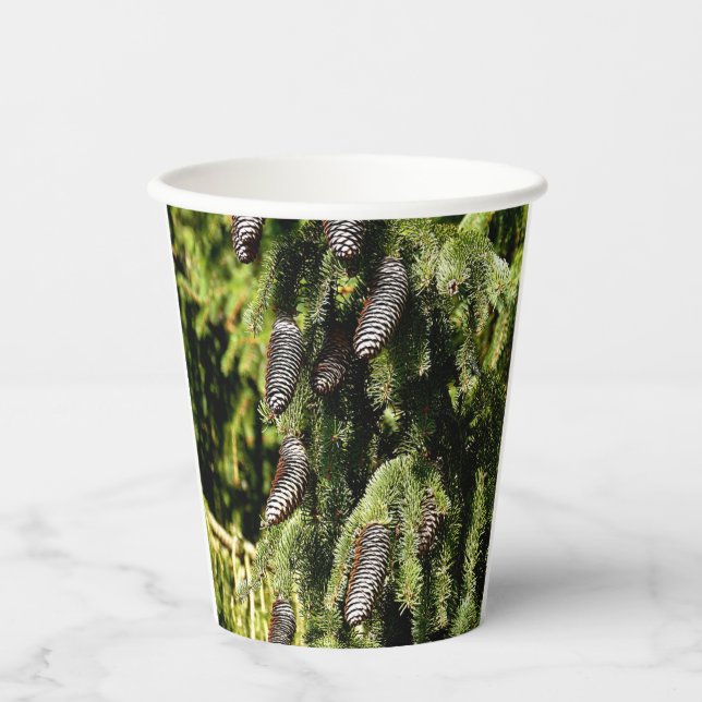 Vasos De Papel Pinecones (Anverso)