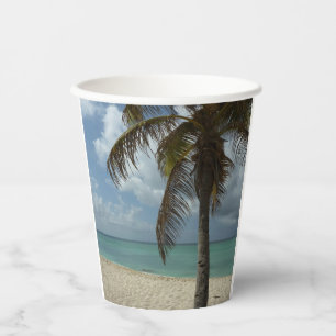 Vasos De Papel Playa de Aruba I Bella Escena Natural