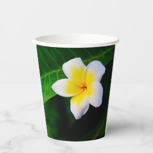 Vasos De Papel plumeria